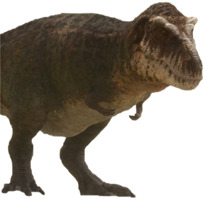 Circle Of Dinosaurs Image