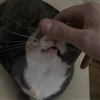 EldritchSnaccrifice's avatar
