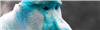 aajsjs's avatar