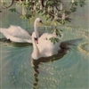 sappho__'s avatar