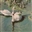 sappho__'s avatar