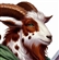 hermick's avatar