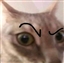 BeeLeesh's avatar