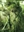 Tree95's avatar