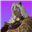 Velsar_'s avatar
