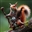 CraigGoddard's avatar
