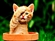 archfeldserethai's avatar
