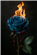 NoJoRules's avatar