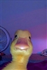 SavathussyDrizzle's avatar