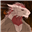 Objective_Jesse's avatar