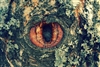 Brownies_In_The_Oven's avatar