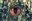 Brownies_In_The_Oven's avatar