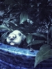 Wheed04's avatar