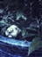 Wheed04's avatar