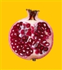 the_Gringo's avatar