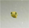 namedd's avatar
