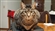 Rogristheterrible's avatar
