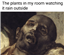MicholasSage's avatar