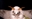 leosnail2010's avatar
