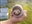 mrobmoray's avatar