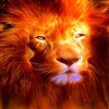PinkKitten138's avatar