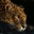 Leopard7200's avatar