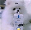 GmSoulGaze's avatar