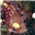 Zena_N_King's avatar