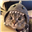 DevotedToYou's avatar