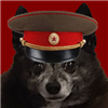 compascrale's avatar