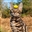 RulerOfKittens's avatar