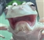 Skully_B_Graves's avatar