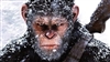 Kazdan_O66's avatar
