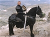 BrowncoatNavy79's avatar