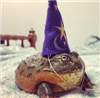 JazzyWubs's avatar