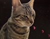 monkeymoon7414595's avatar