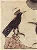 MissAntiCrowd's avatar