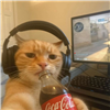 EchoQuest's avatar
