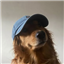shinyfazcoin's avatar