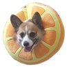DanISmean's avatar