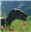 TheNamesHaze's avatar