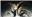 ScratadoFlorado's avatar