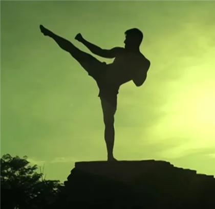 Kickboxer Image