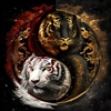 Silent_Samurai897's avatar