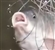 tristanwood762's avatar