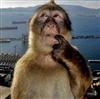 ghostgamer413's avatar