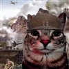 yrtreyreyeryettbyefdgrjuhtdrrege's avatar