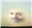 ClownsofEve's avatar