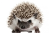 JRtheDM's avatar
