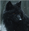 Queen_Of_The_Whip's avatar
